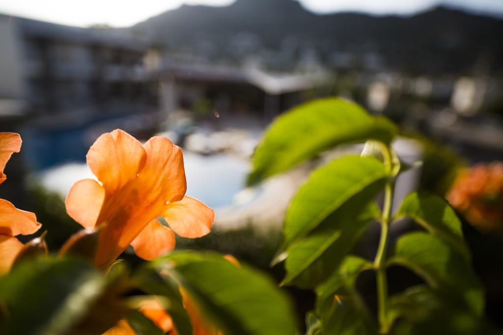 Genc Hotel Bodrum Exterior photo